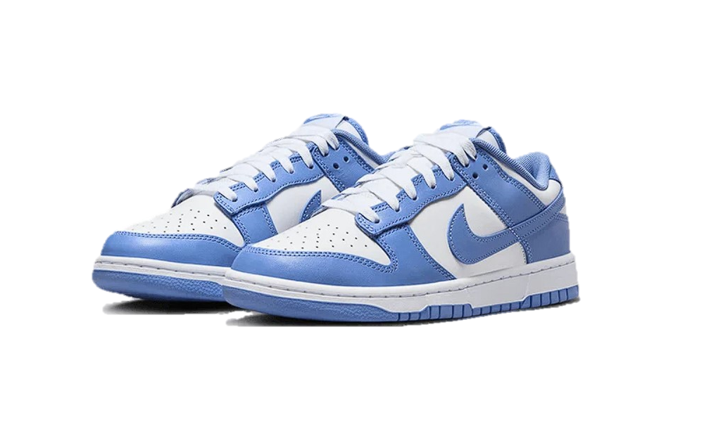 Nike Dunk Low Polar Blue