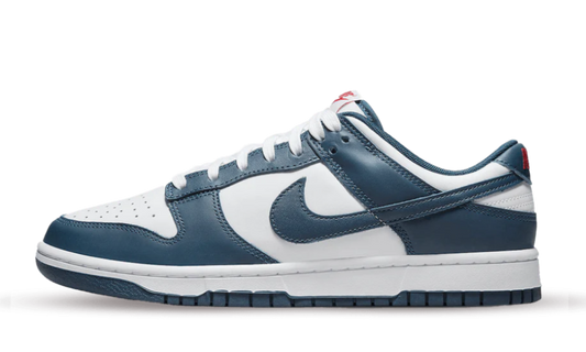 Nike Dunk Low Valerian Blue